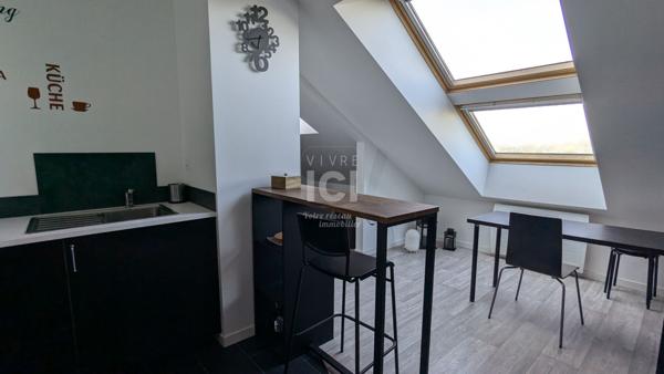 Appartement T2 Meuble 24.94m² (42,58m² Au Sol) - Ancenis Saint Gereon