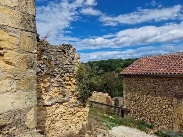 Un projet dans un charmant village avec bar, bâtiment à restaurer avec jardin