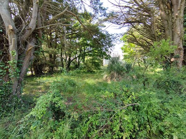 Terrain Saint Lyphard 324 M2