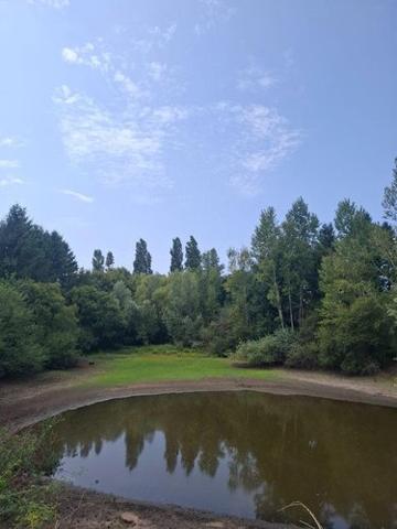 Étang à vendre à Malicorne dans l'Allier (03600), ref : 18016/1981