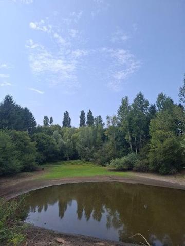 Étang à vendre à Malicorne dans l'Allier (03600), ref : 18016/1981