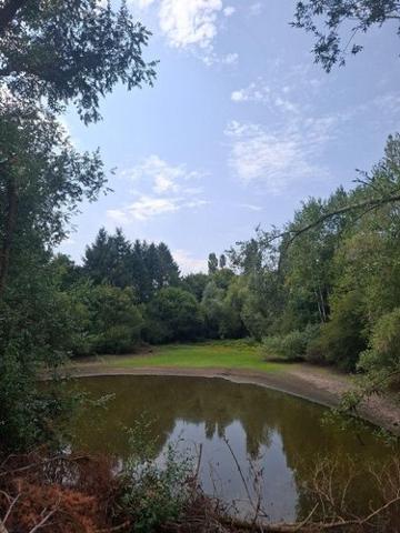 Étang à vendre à Malicorne dans l'Allier (03600), ref : 18016/1981