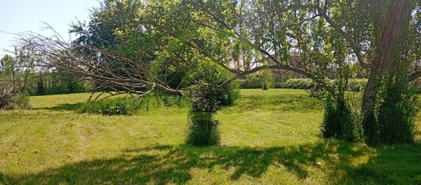 Maison en bois à NAVILLY (71270)
