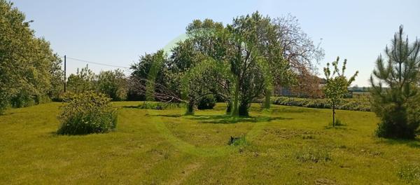 Maison en bois à NAVILLY (71270)