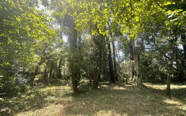 Maison à vendre    6 pièces • 152 m2 Tarnos