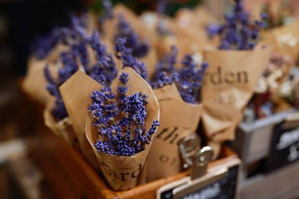 Fleuriste à PARIS 7EME ARRONDISSEMENT (75007)