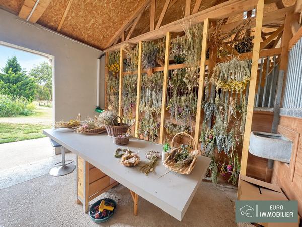 maison ossature bois 3 hectares