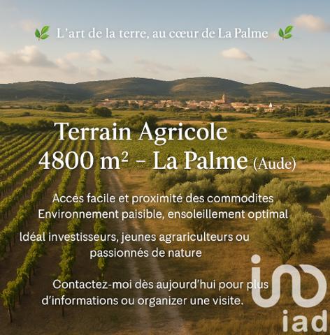 Terrain à vendre 4 800 m² La Palme