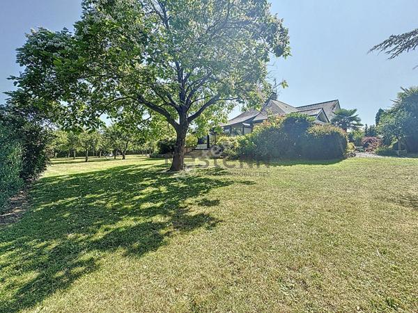 Superbe maison à vendre à Champigné ? 4 chambres ? 227m2 - Terrain paysagé de plus de 4 000 m²