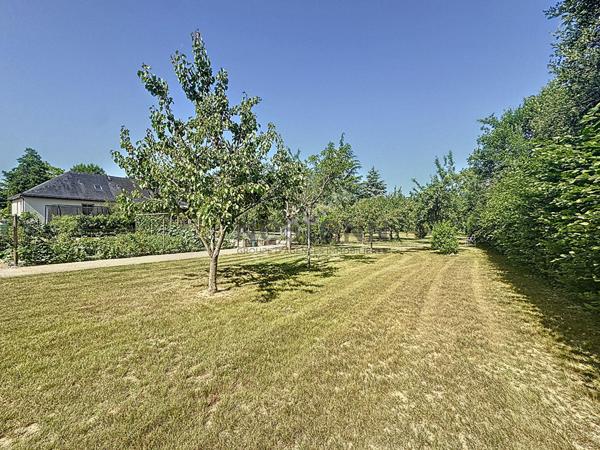 Superbe maison à vendre à Champigné ? 4 chambres ? 227m2 - Terrain paysagé de plus de 4 000 m²