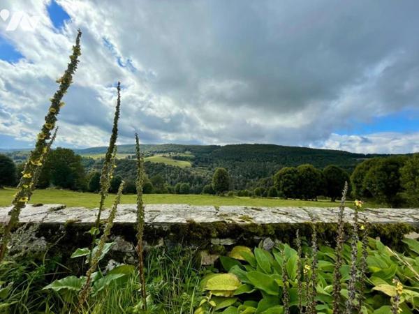 A VENDRE  PROPRIETE  DE CORPS DE FERME  SECTEUR CHAUCHAILLES