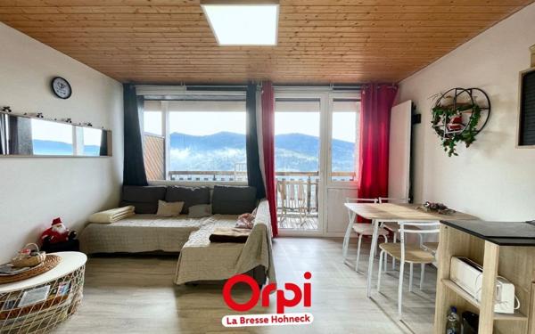 Appartement à vendre    2 pièces • 26,78 m2 Bussang