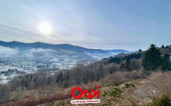 Appartement à vendre    2 pièces • 26,78 m2 Bussang