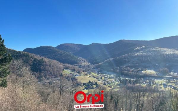 Appartement à vendre    2 pièces • 26,78 m2 Bussang