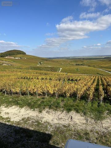 Maison à vendre à Cramant dans la Marne (51530), ref : 51022-2298