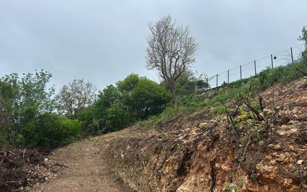 Terrain à vendre    Le Moule