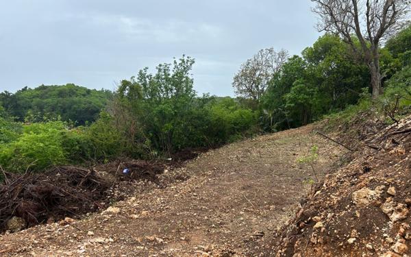 Terrain à vendre    Le Moule