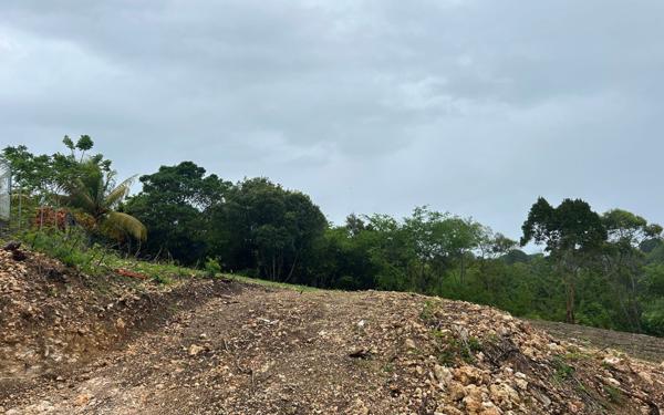 Terrain à vendre    Le Moule