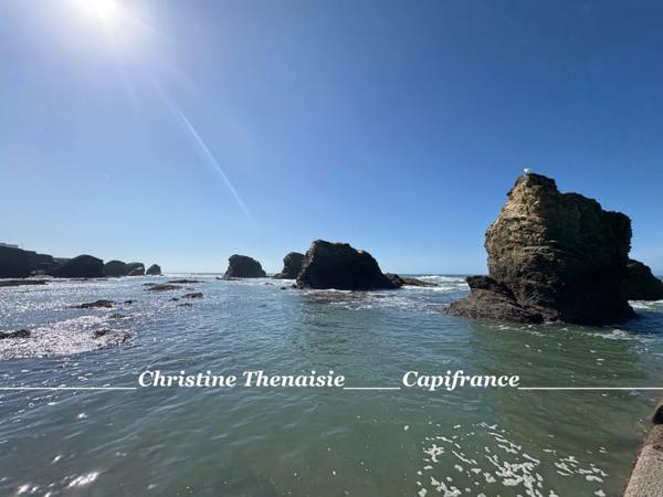 Maison à vendre rénovée 2 pièces + Véranda + Annexe de 41 m2 à deux pas de la mer et de la forêt SAINT HILAIRE DE RIEZ (85)