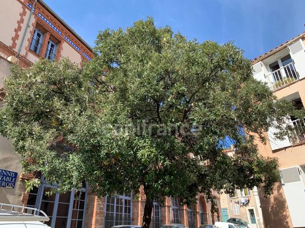 Dpt Var (83), à vendre HYERES appartement T2 de 42 m², Centre ville, Parcours des Arts