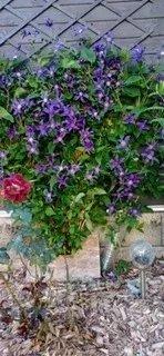 Aveyron Maison 3 chambres, salon, séjour, garage et jardin