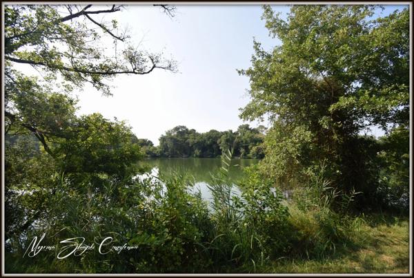 PROPRIETE à vendre 10 pièces  (40) PROCHE DE L'ETANG BLANC