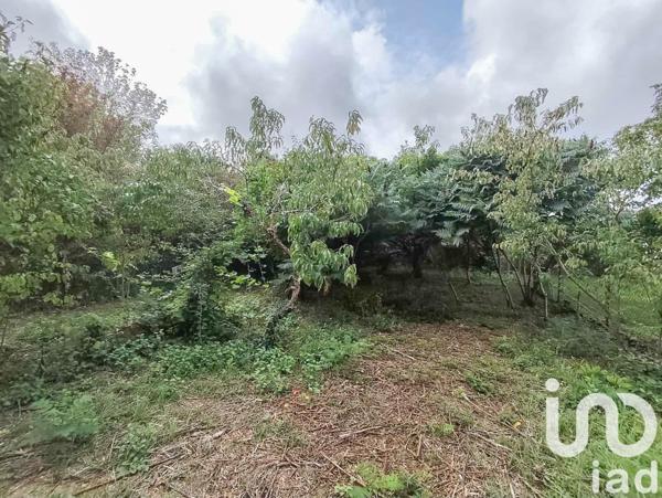 Maison à vendre 3 pièces 86 m² Ouzouer-sur-Loire