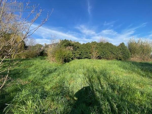 Terrain à Batir à vendre à Fouesnant dans le Finistère (29170), ref : 29015-429