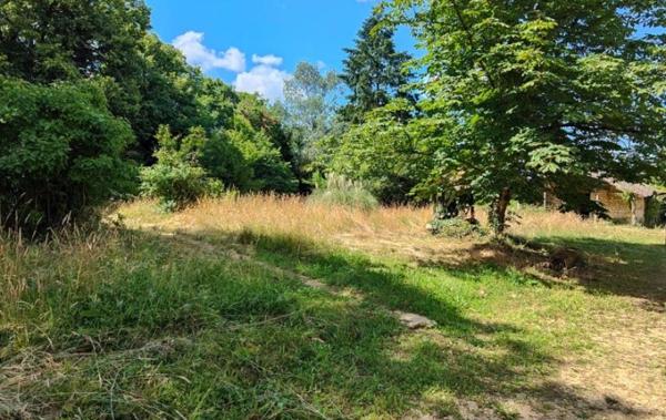 Vente Maison à rafraîchir Lezay   