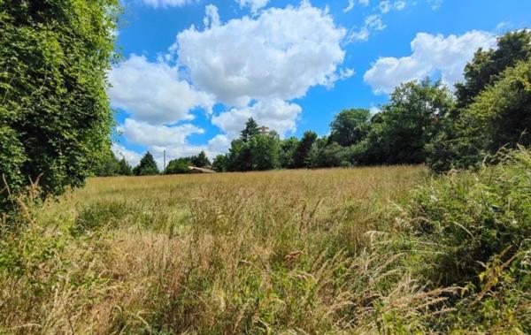 Vente Maison à rafraîchir Lezay   
