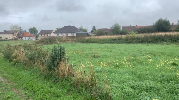 Terrain à bâtir dans quartier calme