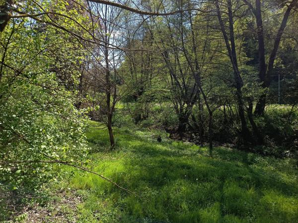 À vendre - Maison ancienne, 4 pièces située à Chancelade (24650)