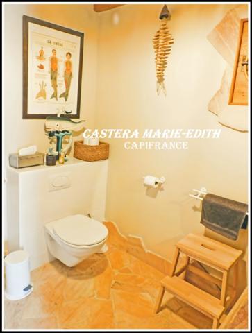 DOMAINE - HAMEAU - MANOIR AVEC TOURS + 2 MAISONS + LAC +33 pièces - MIRANDE à 7 MINUTES (32)Opportunité unique