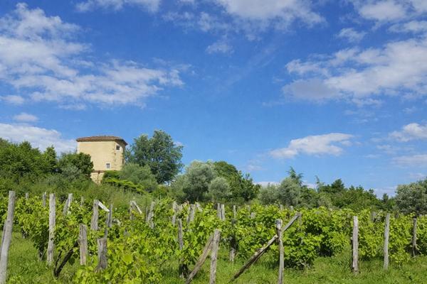 DOMAINE - HAMEAU - MANOIR AVEC TOURS + 2 MAISONS + LAC +33 pièces - MIRANDE à 7 MINUTES (32)Opportunité unique