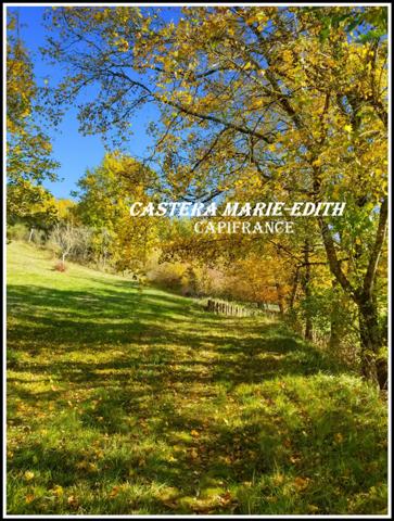 DOMAINE - HAMEAU - MANOIR AVEC TOURS + 2 MAISONS + LAC +33 pièces - MIRANDE à 7 MINUTES (32)Opportunité unique