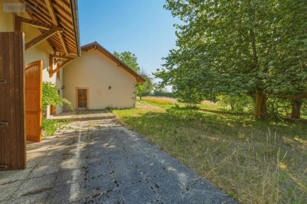 Achat - Maison Divonne-les-Bains 01220 11 pièces 661 m 2 31616 m 2