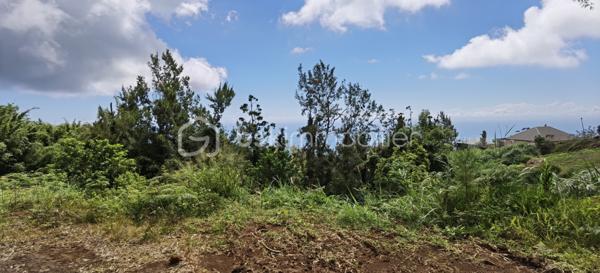 Lotissement de 2 063 m²