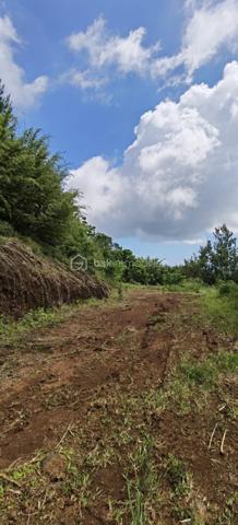 Lotissement de 2 063 m²