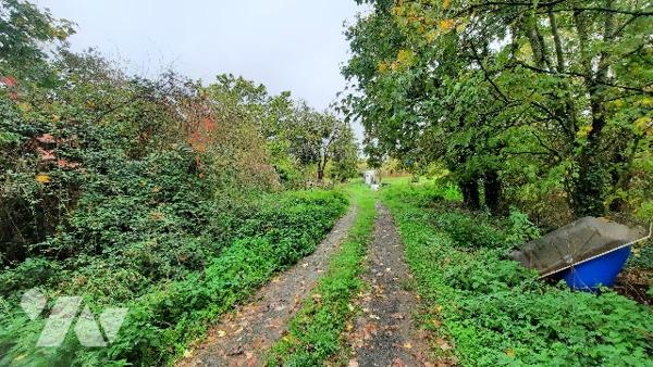 Maison à restaurer entièrement de 115 m² + dépendances. Sur terrain constructible de 1.26 hectares