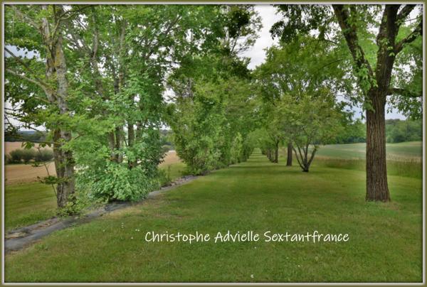 2 maisons et grandes dépendances sur magnifique parc , prairies et grand étang