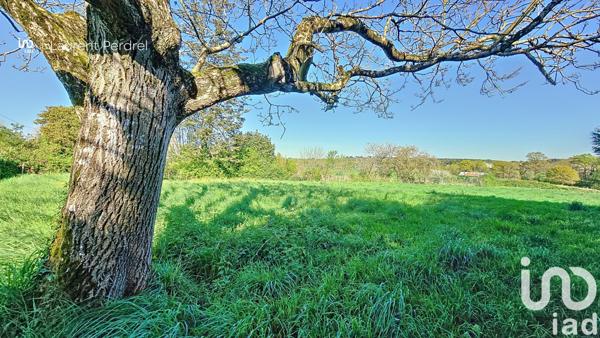 Terrain à vendre 1 030 m² Allaire