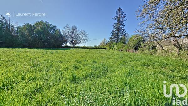 Terrain à vendre 1 030 m² Allaire