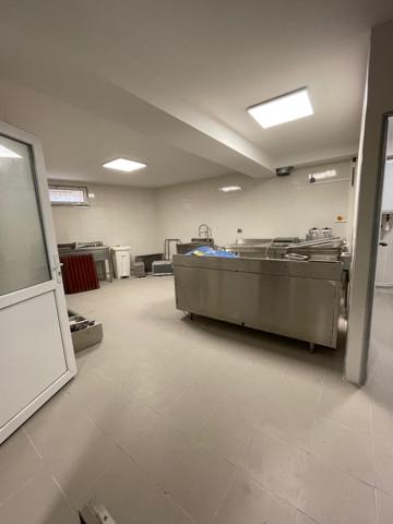 LABORATOIRE PREPARATION CULINAIRE (LOCATION SAISONNIERE POSSIBLE)