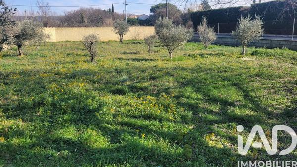 Terrain à vendre 523 m² Morières-lès-Avignon