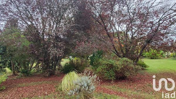 Maison à vendre 5 pièces 121,5 m² Chamborand