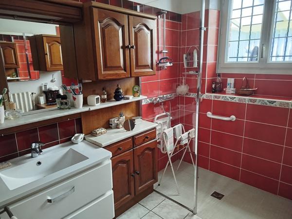 Bien rare à saisir à Le Blanc