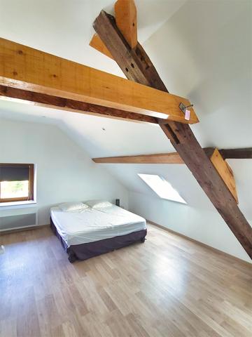 Ventron (88310) Ventron, Vosges. Grande maison mitoyenne de 4 chambres, 3 SDB, terrasse en pilotis avec vue sur rivière et mon