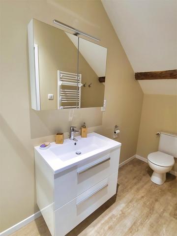 Ventron (88310) Ventron, Vosges. Grande maison mitoyenne de 4 chambres, 3 SDB, terrasse en pilotis avec vue sur rivière et mon