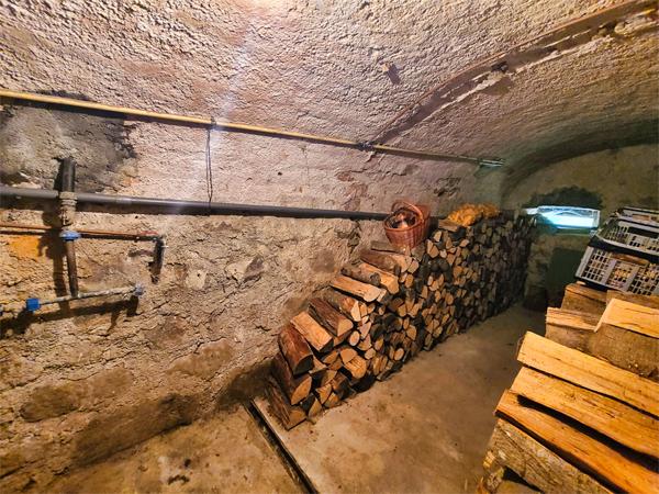 Ventron (88310) Ventron, Vosges. Grande maison mitoyenne de 4 chambres, 3 SDB, terrasse en pilotis avec vue sur rivière et mon