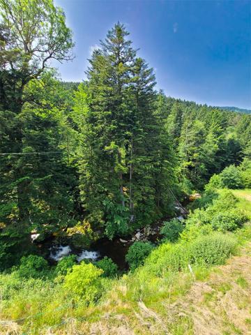Ventron (88310) Ventron, Vosges. Grande maison mitoyenne de 4 chambres, 3 SDB, terrasse en pilotis avec vue sur rivière et mon